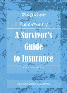 Disaster Recovery: A Survivors Guide to Insurance Cover